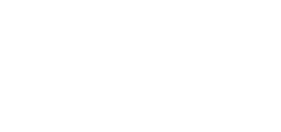 Toshi logo